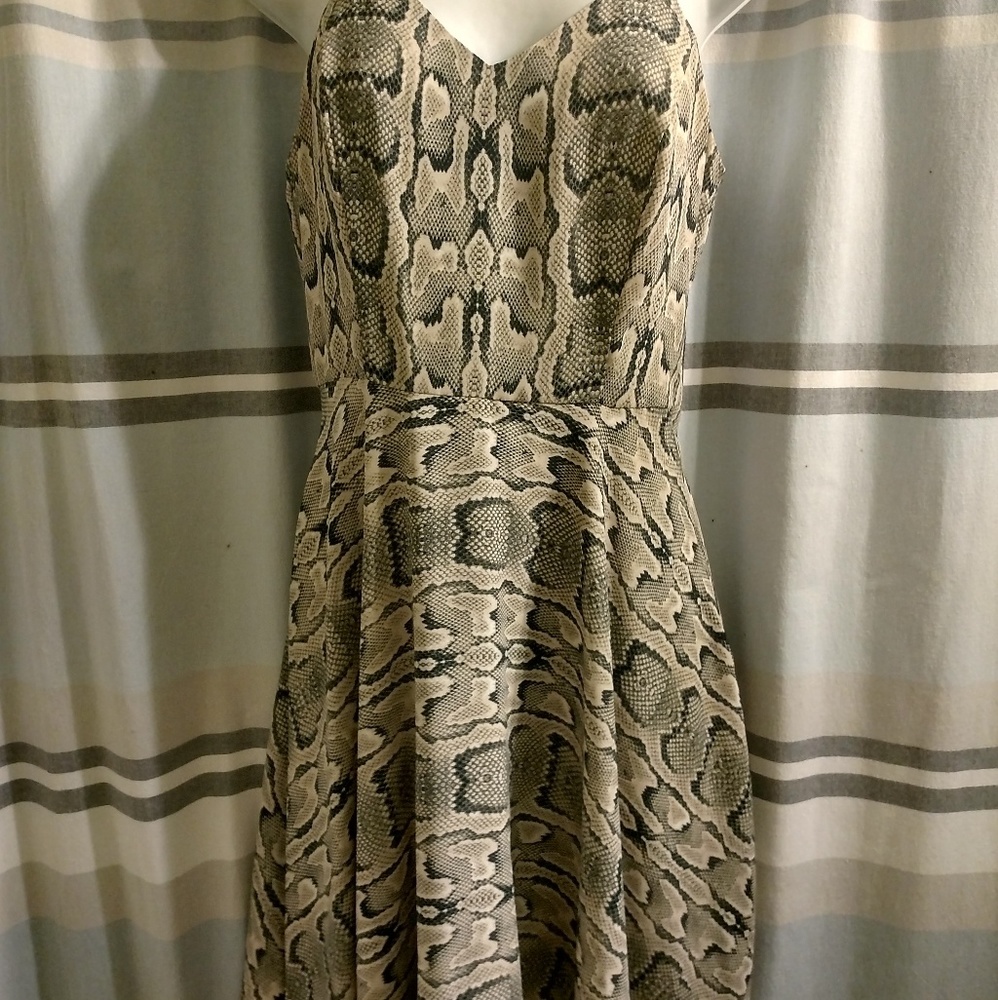 Express skater dress
